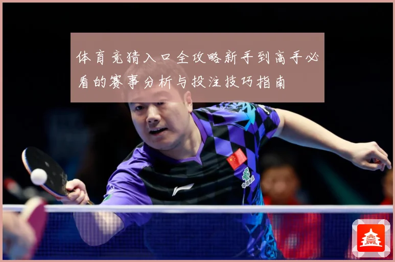 体育竞猜入口全攻略新手到高手必看的赛事分析与投注技巧指南