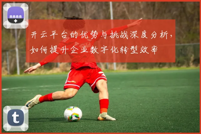 开云平台的优势与挑战深度分析，如何提升企业数字化转型效率