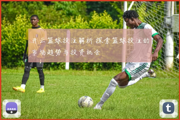 开云篮球投注解析 探索篮球投注的市场趋势与投资机会