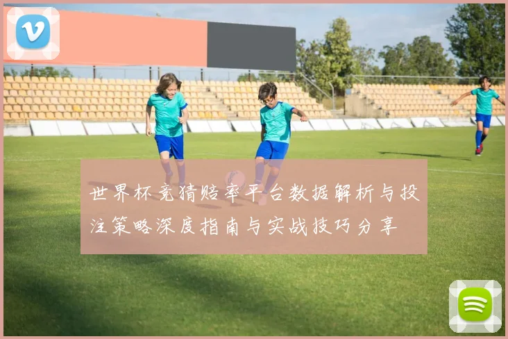 世界杯竞猜赔率平台数据解析与投注策略深度指南与实战技巧分享
