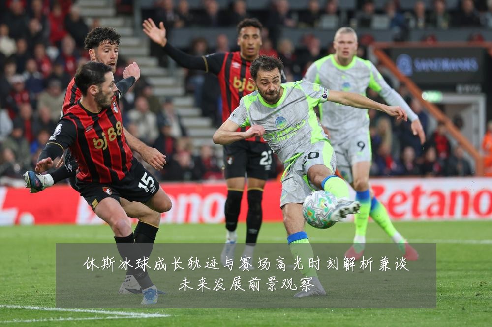 休斯冰球成长轨迹与赛场高光时刻解析兼谈未来发展前景观察